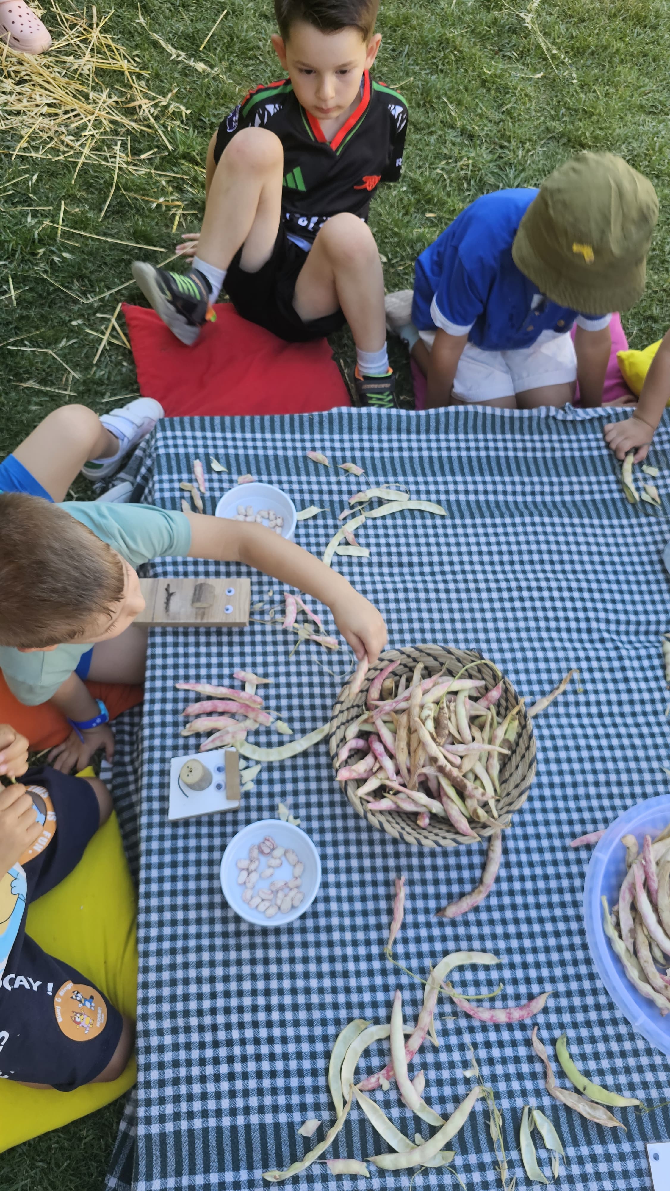 Günlük Yaşam Becerileri